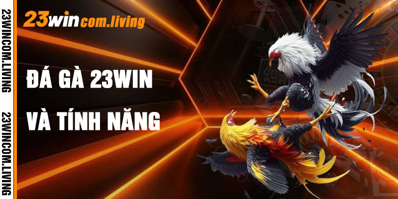 Đá Gà 23Win Và Tính Năng Nổi Bật