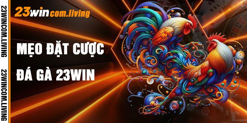 Đá Gà 23Win Và Mẹo Cá Cược Hiệu Quả